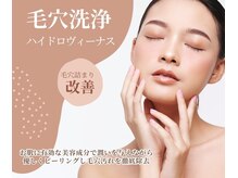 ケイーナイン(K-9)の雰囲気（新メニューのハイドロヴィーナスは贅沢に美容液で毛穴を洗浄）