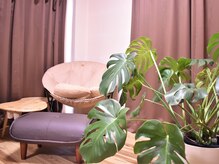 鍼屋フミ(鍼屋FUMI)/観葉植物に囲まれた癒しの空間