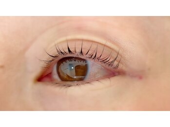 ペルシャ(Persian)/お客様デザイン[若葉/坂戸]