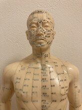 ホーム(Home)/ツボ人形