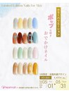 5月限定全国共通デザイン2