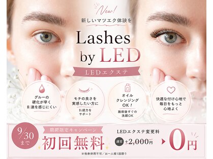 リリーアイラッシュ 西葛西店(RILY eyelash)の写真