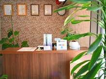 ティンガーラ(TINGARA)/店内