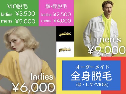 イエロー(yellow.)の写真