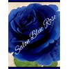 Salon Blue Roseロゴ