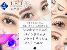 バニーラッシュ(Bunny Lash)