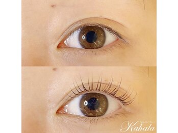 アイラッシュリゾートカハラ 二俣川店/レアカール