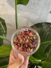 ビズエー(viz.A)/よもぎ蒸し　ハーブ紹介