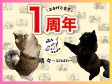 晴々