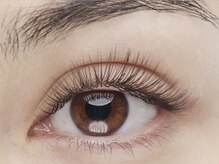 リビケイト 堀江店(Livicate)/Brown