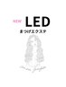 【3回まで利用可♪】LEDフラットラッシュ100本　¥6500