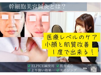 ミエリア美容鍼灸院(mielia美容鍼灸院)/幹細胞美容鍼灸〈幹細胞facia〉