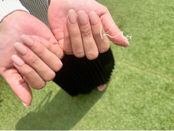 クレー(Klee)/美ワンカラー