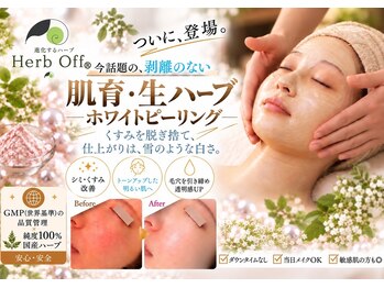 クリニカルエステ イーズ 三宮店の写真/【肌育×透明感UP◎ホワイト生ハーブピーリング￥8800】シミケア＆ツヤ肌へ◎はがすのではなく肌を育てる♪