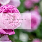 エムズブルー(M’s Blue)