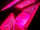 アクセルエルヴェ 鹿沼店(AXCEL E'LEVER)の写真/「ヒト幹細胞培養液・エクソソーム」と高機能コラーゲンマシンで土台から底上げ!透明感とハリのあるお肌に!