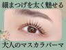 【話題♪マスカラパーマ】 まつげパーマ＋ブラックトリートメント  ¥7500
