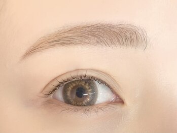 ネリネ 博多(nerine)/セットメニュー