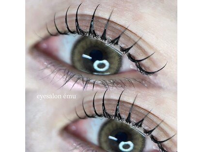 エミュー(emu)の写真