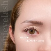 ラニアイラッシュ(Lani eyelash)