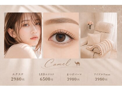 キャメル(Camel)の写真