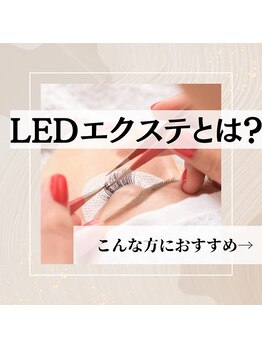 ゾウゾウ(Zow Zow)/