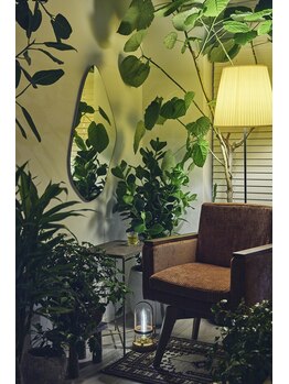 アンジール(ANJIR)/