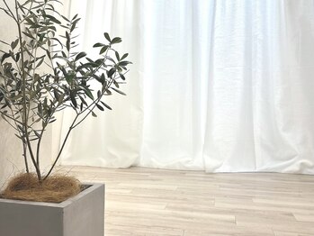 メゾンドココ(Maison de Coco)/店内