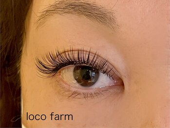 ロコ ファーム(loco farm)/Wフラット140束