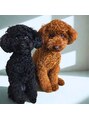 スタイルキューピット(style cupit) トイプードルの女の子2匹飼っています。犬好きです☆