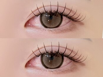 ソファー 八王子(sofa)/アンドヘルシー×フラット100本