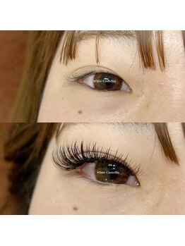 ホワイトカメリア 難波心斎橋店(WhiteCamellia)/