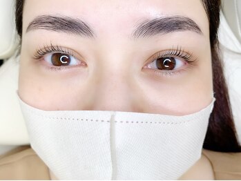 ヴィフ(Vif)/ハリウッドブロウ+パリジェンヌ