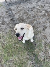 モイスティーヌ 高松サロン&nbsp;中村 ようこ