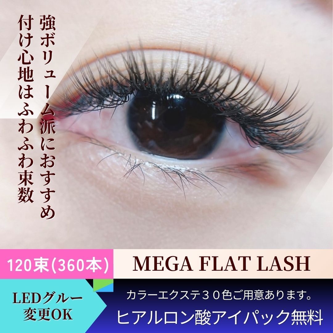 クーポン・メニュー｜サロンドメイド バイ ラッシュディーバ 海老名店