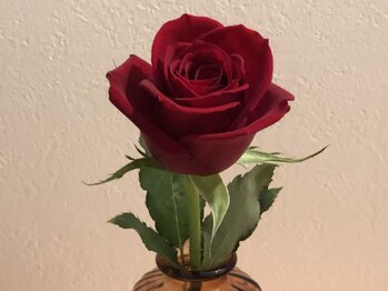 サンフラワー(SUNFLOWER)/★ローズ精油★