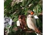 ☆選べる口コミ特典☆