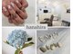 ハナヒラ(hanahira)の写真