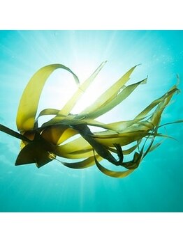 アマナプラーナ(Amana Praana)/