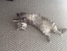 口コミクーポンメニュー