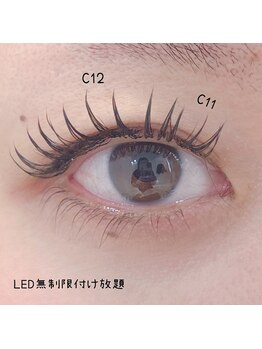 ベリール 南平岸店(Be'Leel)/LED無制限付け放題