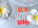定額デザイン【夏】