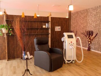 オハイ アリイ(Ohai Alii)/【2F】アイ/脱毛