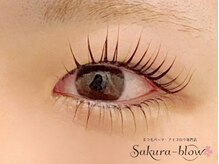 サクラブロウ 神戸三宮店(Sakura-blow)/まつげパーマ/パリジェンヌ/神戸