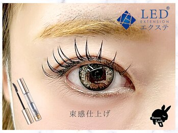 バニーラッシュ 津田沼店(Bunny Lash)/【LEDフラットラッシュ】