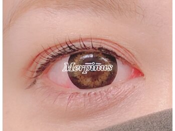 ククナ(Kukuna)/パリジェンヌラッシュリフト★