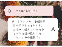 ピンクッション 平尾(PINKSHION)/