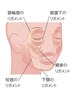 【new!】 速攻小顔メンテ！土台から引き上げるリガメントフェイシャル90分
