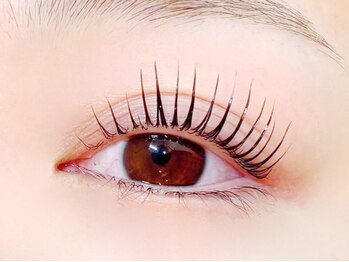 ニコットラッシュ 難波店(nicott lash)の写真/［難波/マツパ/眉毛］＜プレミアムまつげパーマ¥2750＞朝のメイク時間を短縮◎自然なパッチリeyeに変身