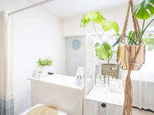 チップ(chip)の雰囲気(サロンはマンションの一室。貸切×緑の溢れるくつろぎ空間です。)